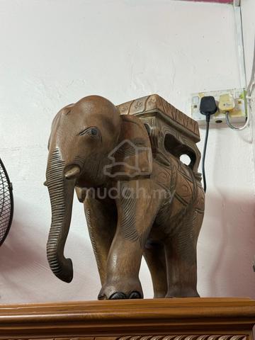 Carousel Image Selected