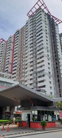 Koi Kinrara 1
