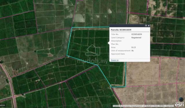 Sabah Kota Belud Agricultural Freehold Land For Sale 1