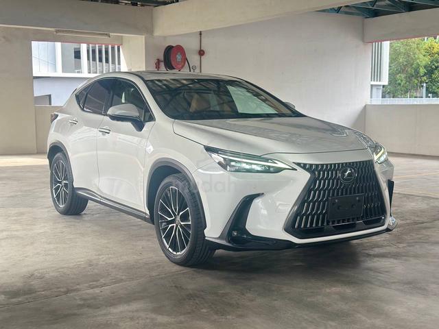 *Grade4.5/Sunroof* 2023 Lexus NX 250 Version L - 1
