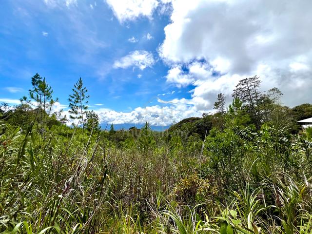CL Land | 0.5 acre | Residential | Mesilau Golf Course | Kundasang | 3
