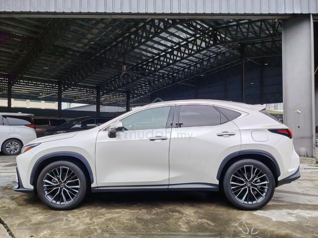 2023 Lexus NX250 2.5 BASE GRADE (A) GRADE 4.5B - 5