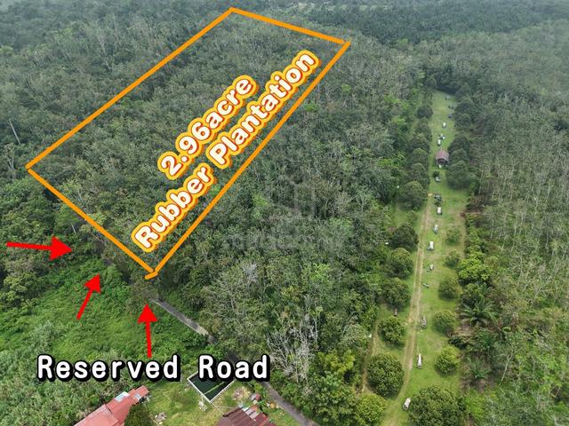 Kuala Kangsar / Agricultural Land For Sale / FREEHOLD / 2.96 Acres 1