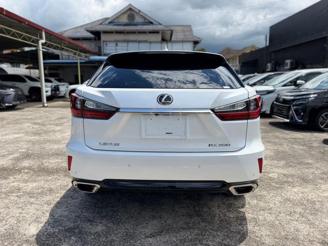 2019/2021 Lexus RX300 2.0 LUXURY (A) - 4