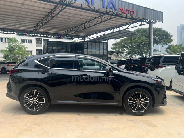 2022 Lexus NX250 2.5 LUXURY (A) - 5