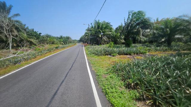 Parit yakob Tanah pertanian tepi jalan boleh rumah 1