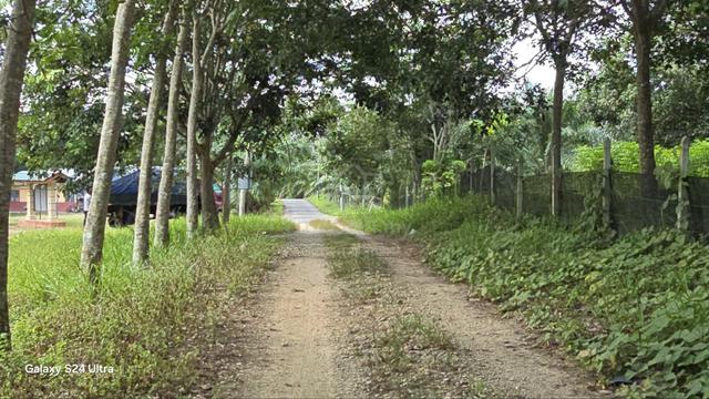 Tanah Kebun Getah Tua di Parit 1