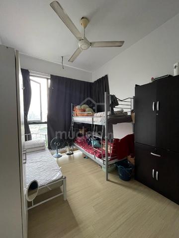 Shamelin Star 1