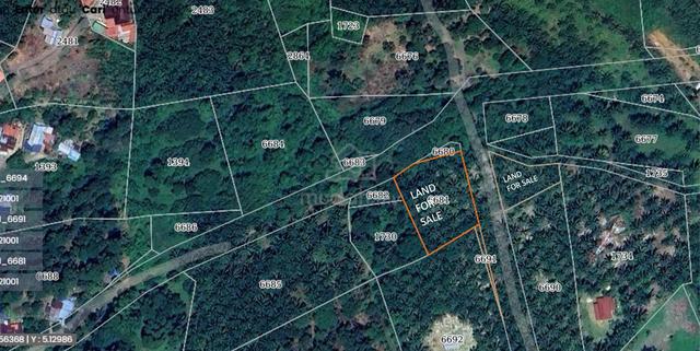 Tanah Kelapa Sawit untuk Dijual di Bandar Baharu, Kedah 1