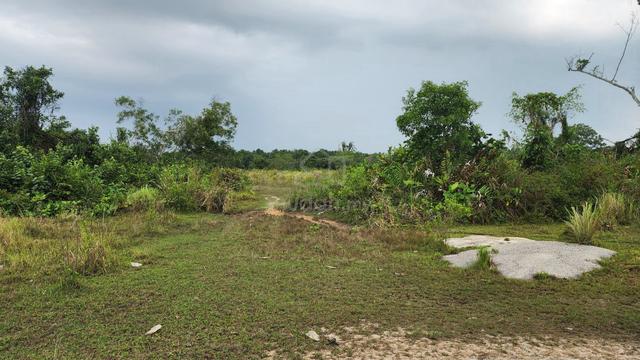 Tanah Pertanian 1 Ekar Kg Pok, Gelang Patah (Berdekatan Forest City) 1