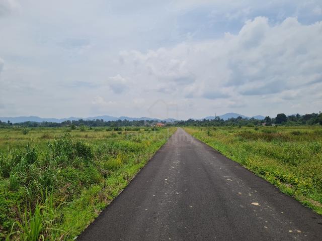 Tanah SAWAH AIR PUTEH KEMAMAN 1.9EK 1