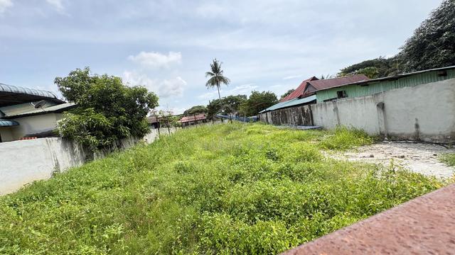 Jelutong Land For Sale 1