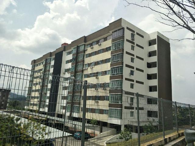 Crestin Park Apartment 1