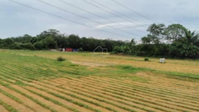 Agriculture land zoning Residential Bandar sri sendayan 1