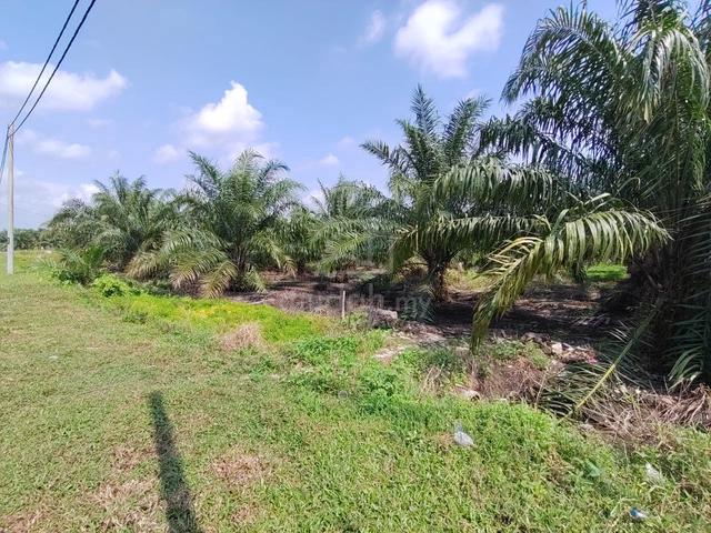 FLAT LAND INFRA READY 97327ft Agricultural Land Kuala Langat 1
