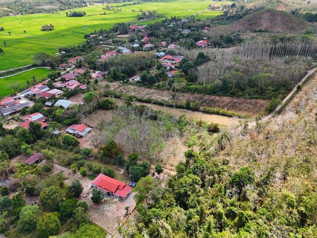 Tanah Kawasan Kampung - Pokok Sena Kedah - Murah/Geran 1 Nama 1