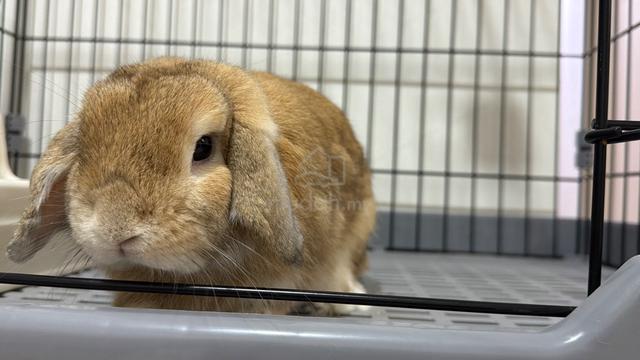 Carousel Image