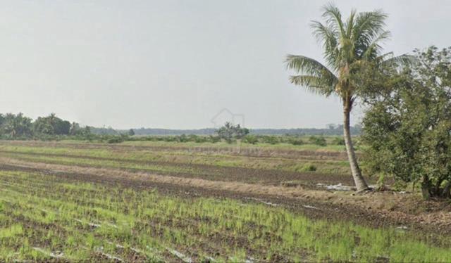 Tanah Lot Di Teluk Medan 2 Untuk Dijual 1