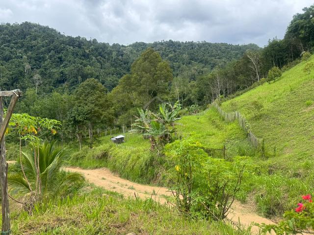 Beautiful Land for SALE @ Tambunan Sabah | NT land 1