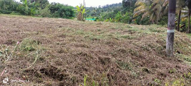 tanah untuk dijual/land for sale 2