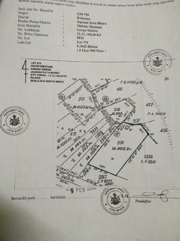 tanah padi untuk dijual 1
