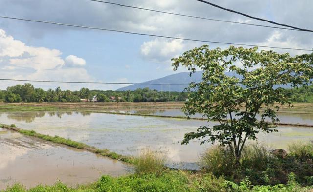 Tanah Pertanian Rapat Jalan Utama Di Kuala Muda, Sungai Petani, Kedah 1