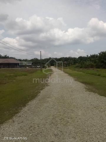 Johor Batu Pahat Agricultural Freehold Land For Sale 1