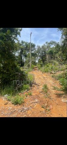 Agricultural Land for Sale, Worth Investing for Property Develoant 1