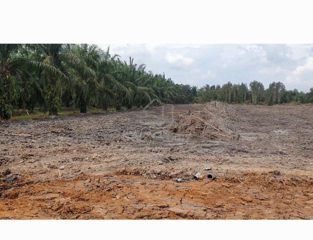 Beautiful flat land for sale 1