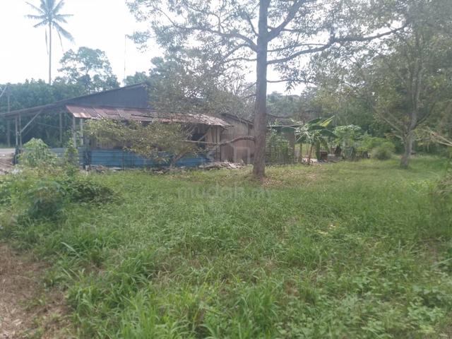 Tanah ,Batu 36, Pontian. 1