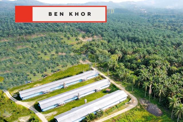 7.39 Acres | Agricultural Land |Gajah Mati | Bukit Mertajam | PENANG 1