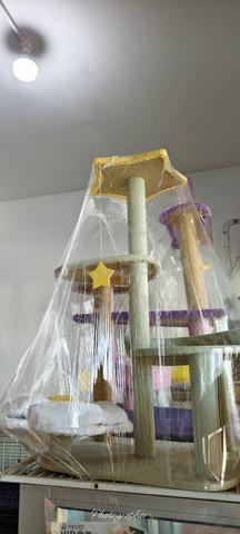 Carousel Image Selected