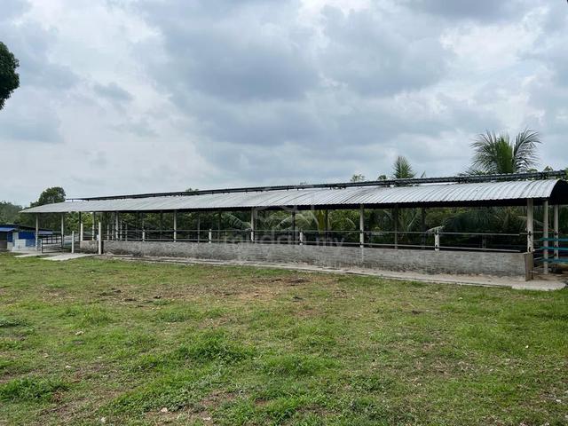 5.3 Ekar Tanah Pertanian ALOR GAJAH. Pokok Buah, Kandang Haiwan, Rumah 1