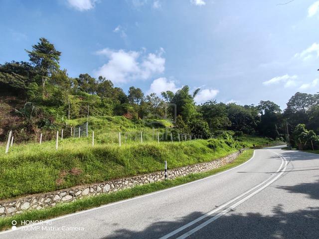 4 acres durian farm with road frontage Lenggeng Negeri Sembilan 1