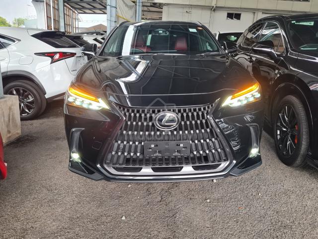 2023 Lexus NX250 Luxury Grade 5 Hud 360 Cam Unreg - 3
