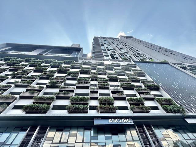 Cubic Botanical 2