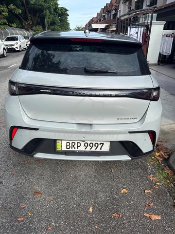 2023 Byd DOLPHIN PREMIUM EXTENDED RANGE (A) - 3
