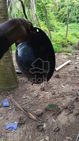 Carousel Image