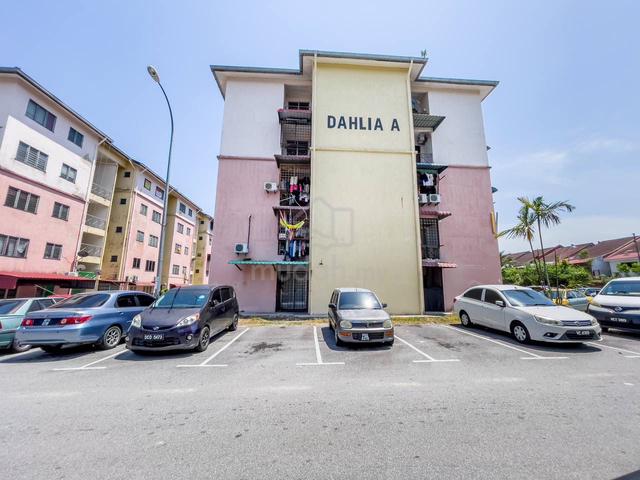 Dahlia (Seremban) 1