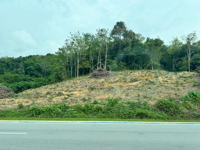 Tanah [KUALA KANGSAR,PERAK] Rapat Jalan Utama - Pertanian 1