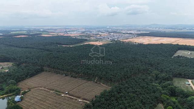 10 Acres Agriculture Land Senai, Johor 1