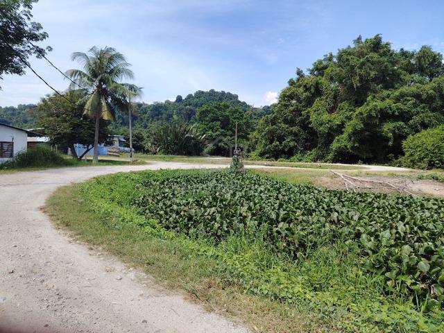 Agricultural first Grade Land for sale at Juru Near by Penang Bridge  1
