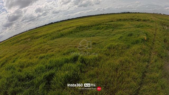 Tanah Sawah Padi Harga Bawah Market Telaga Mas, Alor Setar Kedah 1