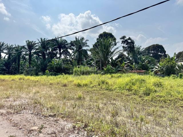 Bungalow Lots with Individual Title 1