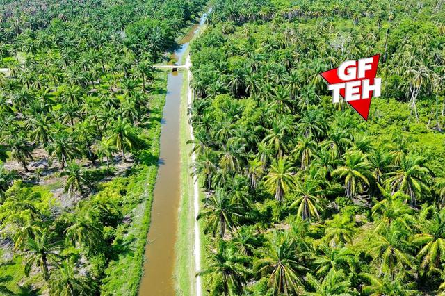 1.7 acre Agricultural Land Balik Pulau | Reserve road|Flat Land|Penang 1