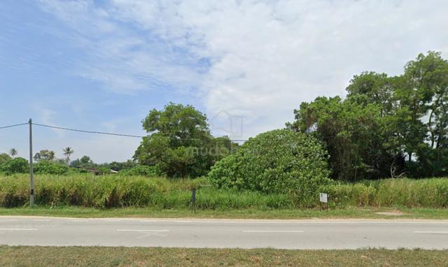 Bukit Tambun Residential Land for sale 1