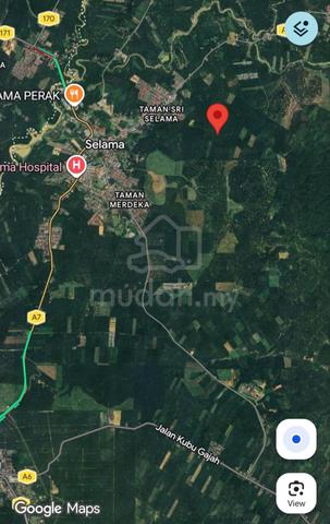 Tanah 40 Ekar Untuk Dijual Borong - Mukim Selama, Perak 🏞️ 1