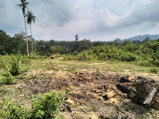Untuk Dijual: Tanah 2.086 Ekar Di Kg. Pondoi, Tampin, Negeri Sembilan 1