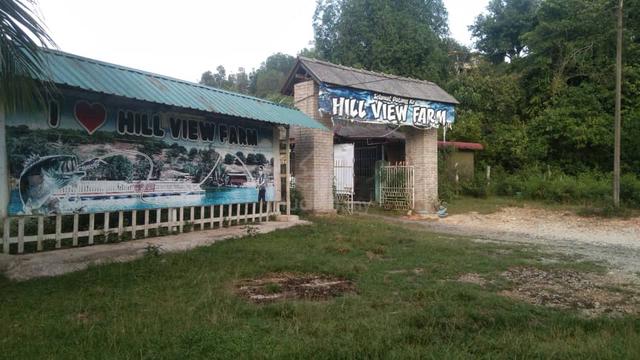 Tanah Pertanian Tepi Sg.Marang 1.3ekar + Rezab Sg. 1.0 ekar 1